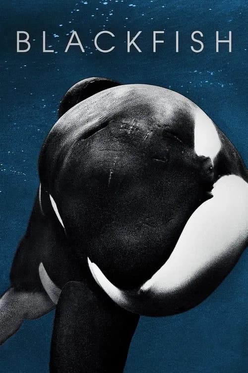 Blackfish (2013) documentary poster