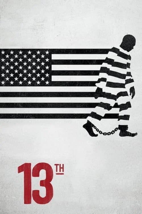 13th (2016) documentary poster