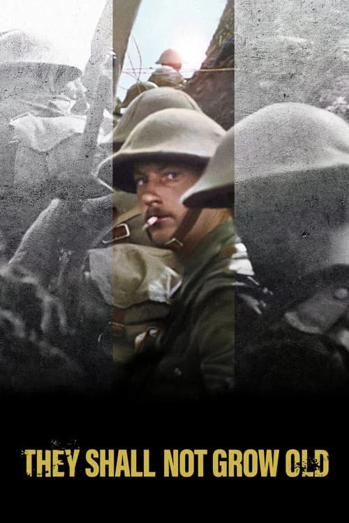 They Shall Not Grow Old (2018) documentary poster