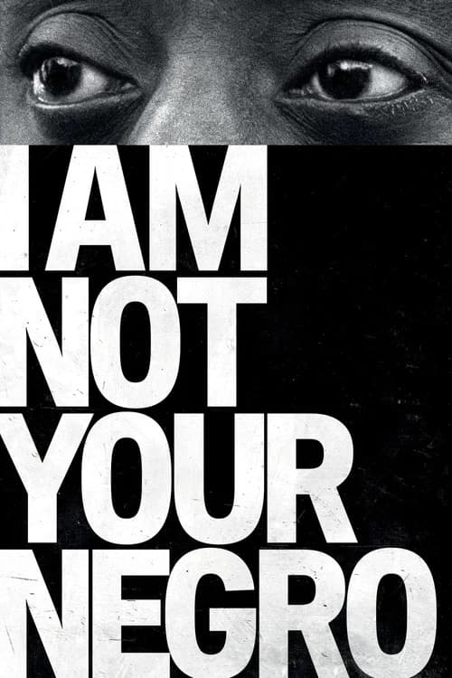 I Am Not Your Negro (2017) documentary poster