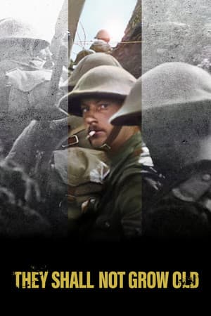 They Shall Not Grow Old (2018) documentary poster