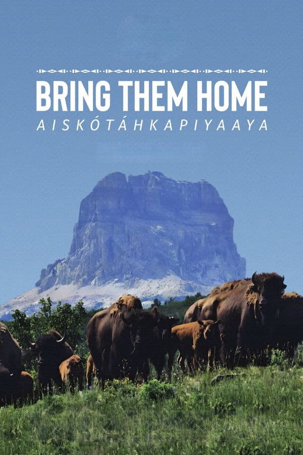 Bring Them Home (2024) documentary poster