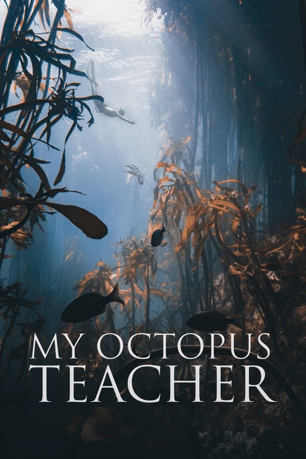 My Octopus Teacher (2020) documentary poster
