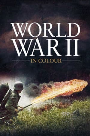 World War II in Colour (2009) documentary poster